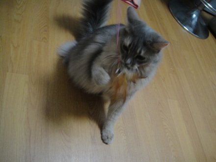 2012082002.jpg