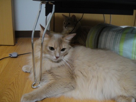 2012082100.jpg