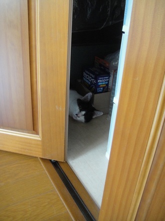 2012082900.jpg