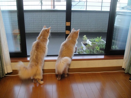2012082901.jpg