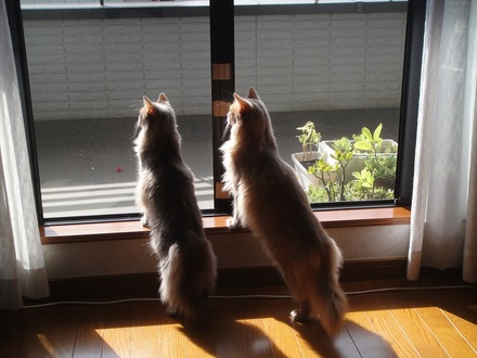 2012082902.jpg