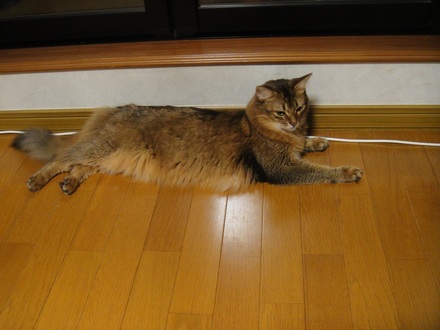 2012082903.jpg