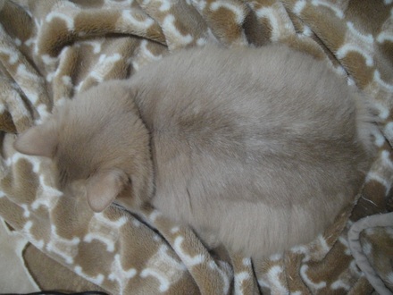 20120900.jpg