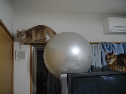 20120901.jpg