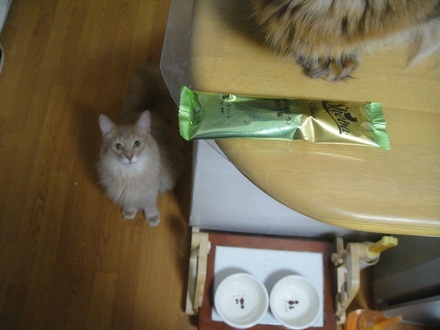 2012090100.jpg