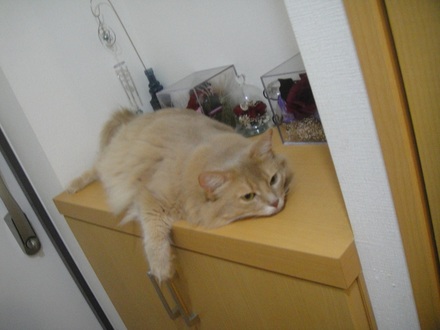 20120901000.jpg