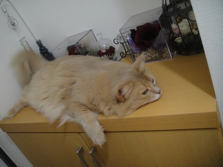20120901001.jpg