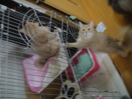2012090101.jpg
