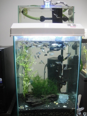 2012090301.jpg