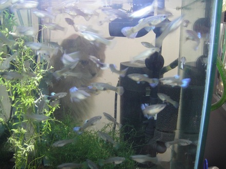 2012090302.jpg