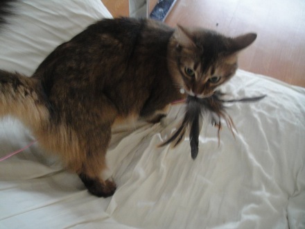 2012090400.jpg