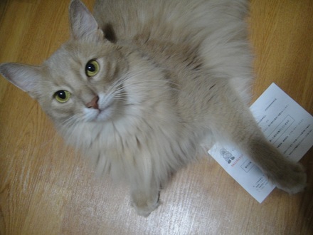 2012090501.jpg