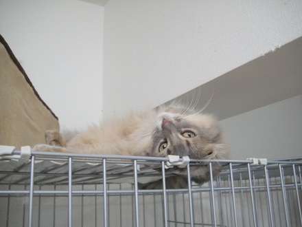 2012090801.jpg