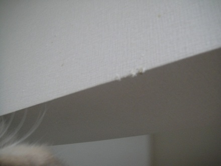 2012090802.jpg