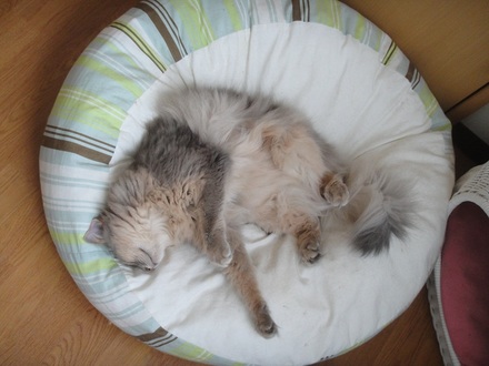 2012090900.jpg