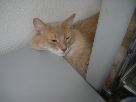 2012090902.jpg