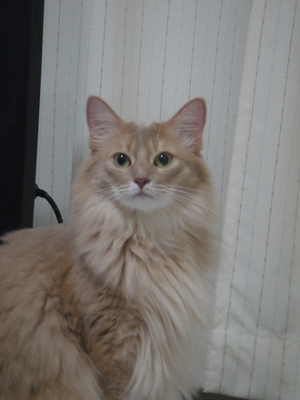 2012090905.jpg