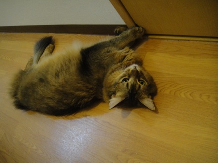 2012091101.jpg