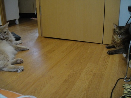 2012091200.jpg