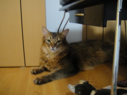 2012091201.jpg