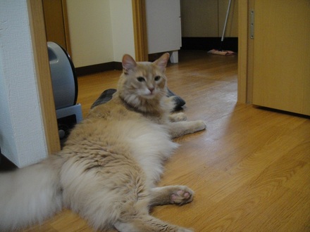 2012091202.jpg