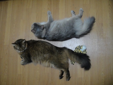 2012091203.jpg