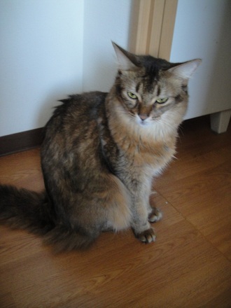 2012091300.jpg