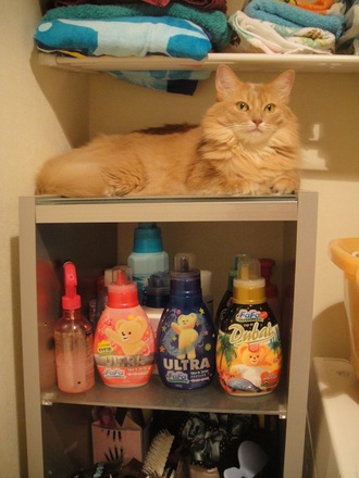 2012091301.jpg