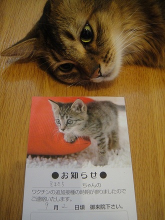2012091600.jpg