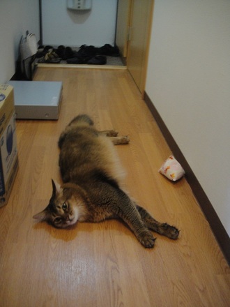 2012091601.jpg