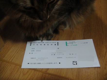 2012091700.jpg