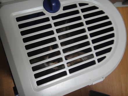 2012091701.jpg