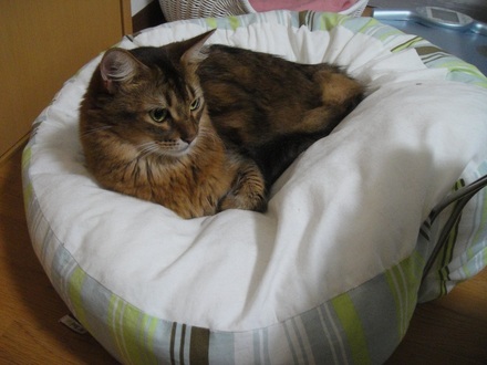 2012091702.jpg