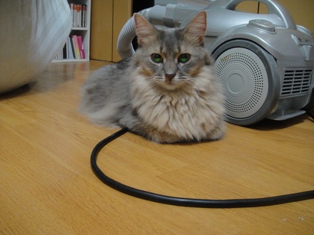 2012091900.jpg