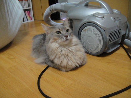 2012091901.jpg
