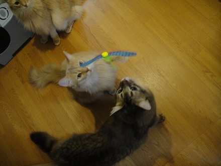 2012092201.jpg
