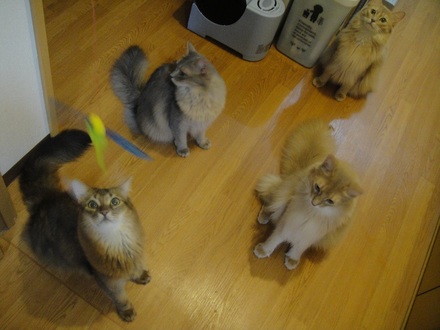 2012092202.jpg