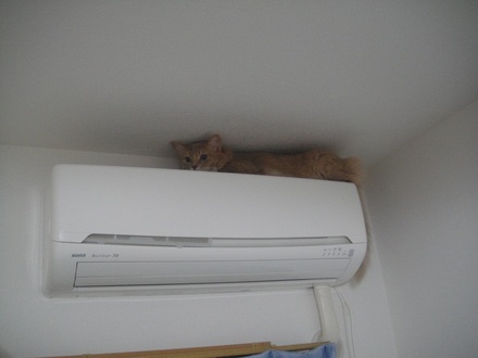 2012092301.jpg