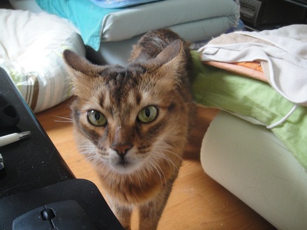 2012092401.jpg
