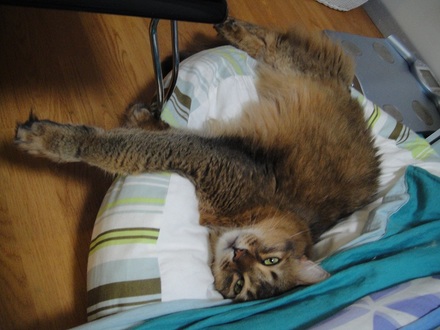2012092501.jpg