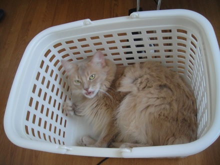 2012093000.jpg