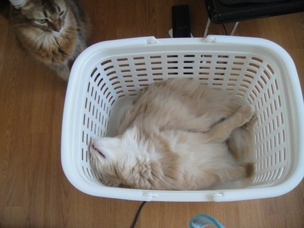 2012093001.jpg
