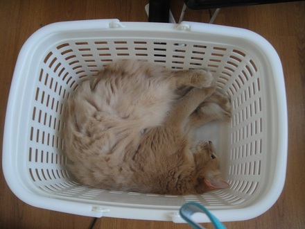 2012093002.jpg