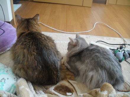 20121001.jpg