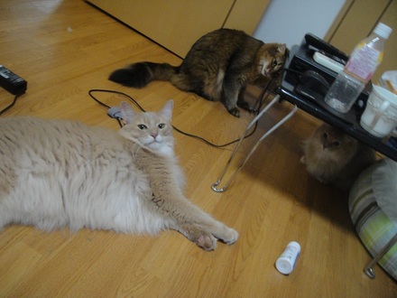 2012100100.jpg