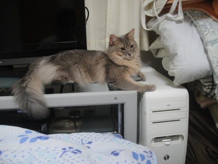 2012100300.jpg