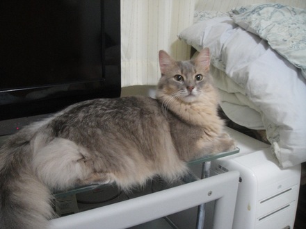 2012100301.jpg