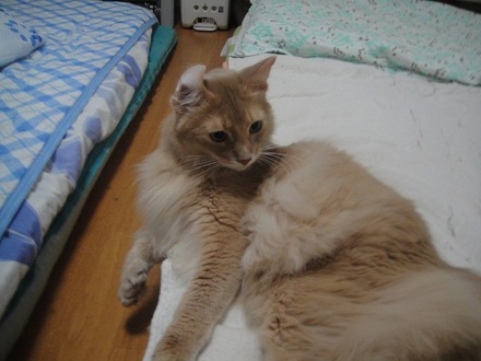 20121007.jpg