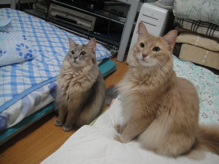 2012101003.jpg