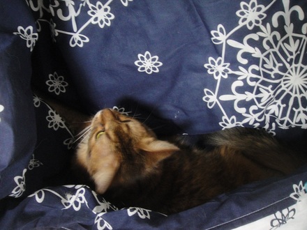 2012101600.jpg